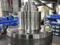 Cycloidal Speed Reducer for Centrifuge